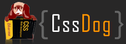 CSS Logo